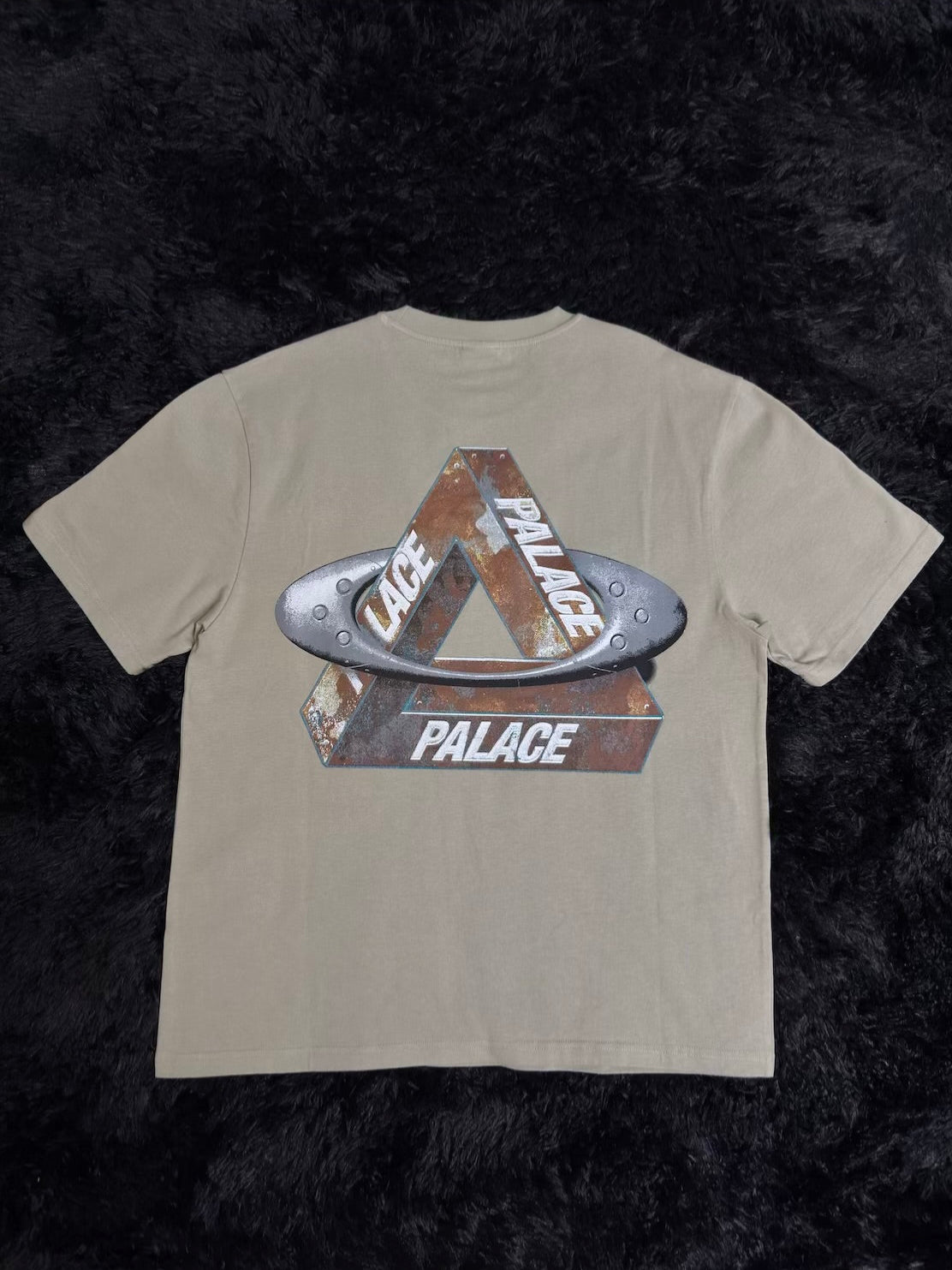 PALACE X OAKLEY LOGO T-SHIRT