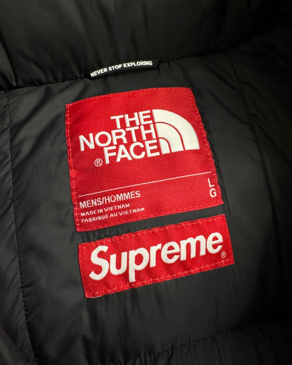 SUPREME X THE NORTH FACE S LOGO HIMALAYAN PARKA