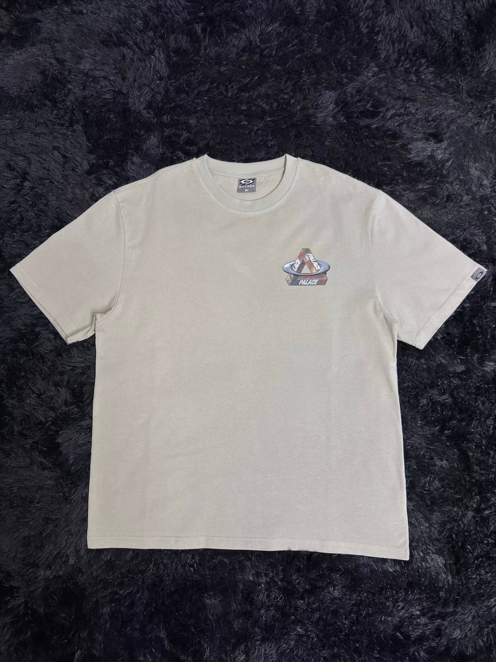 PALACE X OAKLEY LOGO T-SHIRT